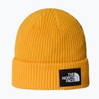 Wintermütze The North Face Salty Lined