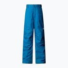 Skihose Kinder The North Face Freedom Insulated dusk blue