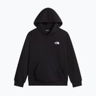 Kinder-Sweatshirt The North Face Evolution Simple Dome Pullover Hood tnf black