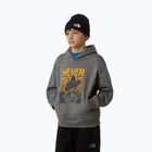 Hoodie Sweatshirt Kinder The North Face Sports Oversized Hoodie Graphic smoked pearl