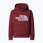 Hoodie Sweatshirt Kinder The North Face Teen Drew Peak Pullover Hoodie sumac
