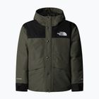 Regenjacke Kinder The North Face Mountain Down new taupe green
