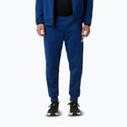 Hose Herren The North Face Mountain Athletics Fleece estate blue/summit navy