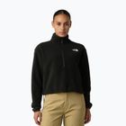 Hoodie Sweatshirt Damen The North Face Glacier Fleece 1/2 Zip Short black