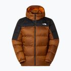 Herren Daunenjacke The North Face Diablo Down 2.0 Hoodie mushroom ember/black heather/recycled