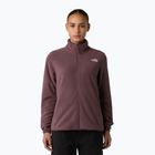 Damen-Fleece-Sweatshirt The North Face Glacier Fleece gelbbraun quarz