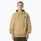 Hoodie Sweatshirt Herren The North Face Mountain Logo Relaxed Hooded khaki stone