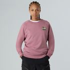 Damenpullover The North Face Connect Relaxed Crew Graphic Nostalgia Rose