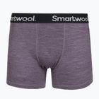 Thermoaktive Herren-Boxershorts Smartwool Merino Boxer Brief Boxed purple storm heather