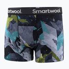 Thermoaktive Herren-Boxershorts Smartwool Merino Print Boxer Brief Boxed blue sum sector