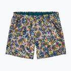 Patagonia Baggies Damen Shorts 5" wild botanist/tidal teal
