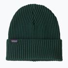 Patagonia Fishermans Rolled Beanie Wintermütze cascade grün