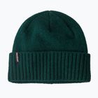 Patagonia Brodeo Beanie Wintermütze cascade grün