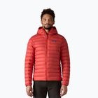 Herren Daunenjacke Patagonia Down Sweater Hoody amanita red