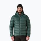 Herren Daunenjacke Patagonia Down Sweater Hoody cascade green