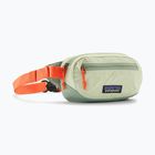 Patagonia Terravia Mini Hip Flechte grün Nierenbeutel