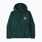 Patagonia Unity Fitz Uprisal Hoody Herren Kaskadengrün