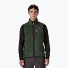 Herrenweste Patagonia Retro Pile Fleece old growth green