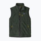 Herrenweste Patagonia Retro Pile Fleece old growth green