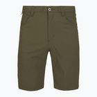 Herren-Trekking-Shorts Patagonia Quandary Basin Green