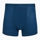 Thermoaktive Boxershorts Herren icebreaker Anatomica atlantis