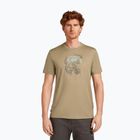 Shirt Herren icebreaker Merino 150 Tech Lite Ruapehu Round flagstone