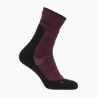 Herren-Socken icebreaker Merino Hike+ Heavy Crew java/schwarz