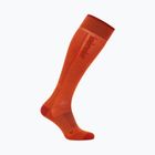 Herren Skisocken icebreaker Merino Ski+ Ultralight OTC fervid/agate