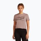 Damen T-Shirt icebreaker Merino 150 Tech Lite Crop The Climb summit