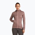 Hoodie Sweatshirt Damen icebreaker Merino 260 Quantum IV Zip Hoodie summit/blush
