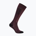 Skisocken Damen Icebreaker Merino Ski+ Light OTC java/black/summit