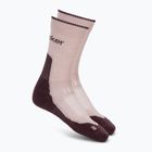 Damen Socken icebreaker Merino Hike+ Light Crew pink quartz/java