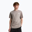 Herren-Shirt The North Face Evolution Box NSE stone slab