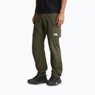 Herren-Trekkinghose The North Face Exploration Cargo taupe green