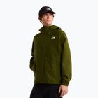 Herren-Softshelljacke The North Face Quest Mono woodland green