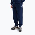 Herrenhose The North Face Evolution Simple Dome Regular Joggers summit navy