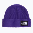 Wintermütze The North Face Salty Lined peak purple