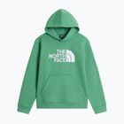 Kinder-Sweatshirt The Noryh Face Essential Drew Peak Hoodie dimmed algae