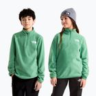 Kinder Fleecejacke The North Face Teen Glacier 1/4 Zip dimmed algae