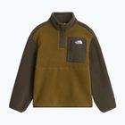 Kinder Fleecejacke The North Face Yumiori 1/4 Zip caraway seed/ne