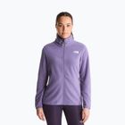 Fleecejacke für Herren The North Face Glacier Fleece grounded plum
