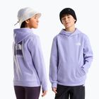 Kinder-Sweatshirt The North Face Evolution Box NSE Pullover Hoodies pale plum