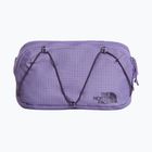 Bauchtasche The North Face Terra Lumbar 1 l grounded plum/endless