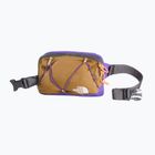 Bauchtasche The North Face Terra Lumbar 1 l utility brown/peak purple