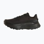 Herren-Laufschuhe Buty The North Face Altamesa 500V2 GTX tnf black/tnf black