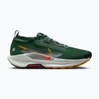 Herren Laufschuhe Nike Pegasus Trail 5 GORE-TEX tanne/hellrot/lehmgrün