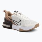 Herren-Trainingsschuhe Nike Air Max Alpha Trainer 6 sail/barock braun/hanf/desert dust
