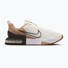 Herren-Trainingsschuhe Nike Air Max Alpha Trainer 6 sail/barock braun/hanf/desert dust