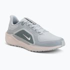 Herren-Laufschuhe Nike Pegasus 41 GTX light pumice/pure platinum/silt red/metal silver