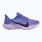 Damen-Laufschuhe Nike Pegasus Plus sapphire/light thistle/purple dynasty